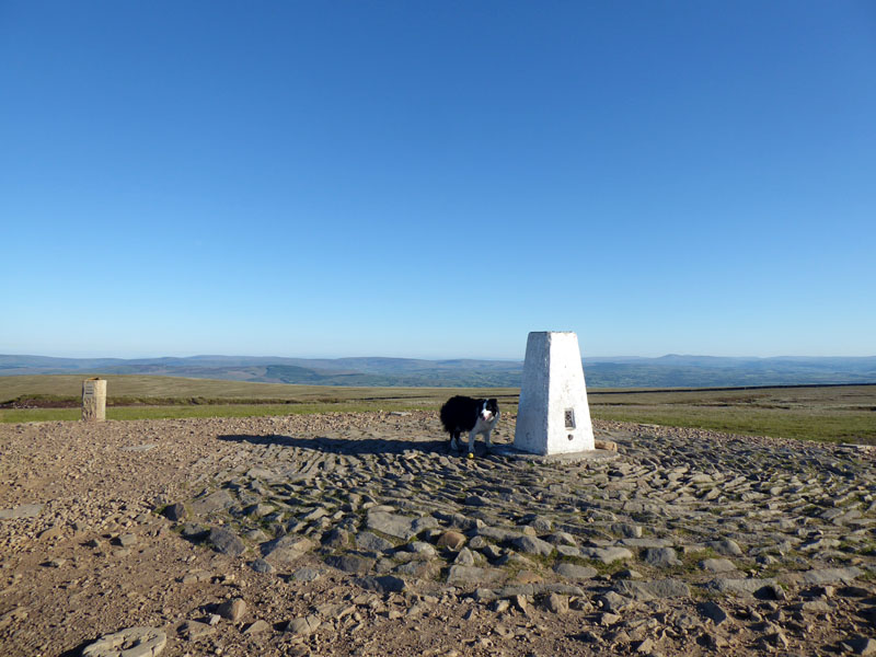 Pendle Top